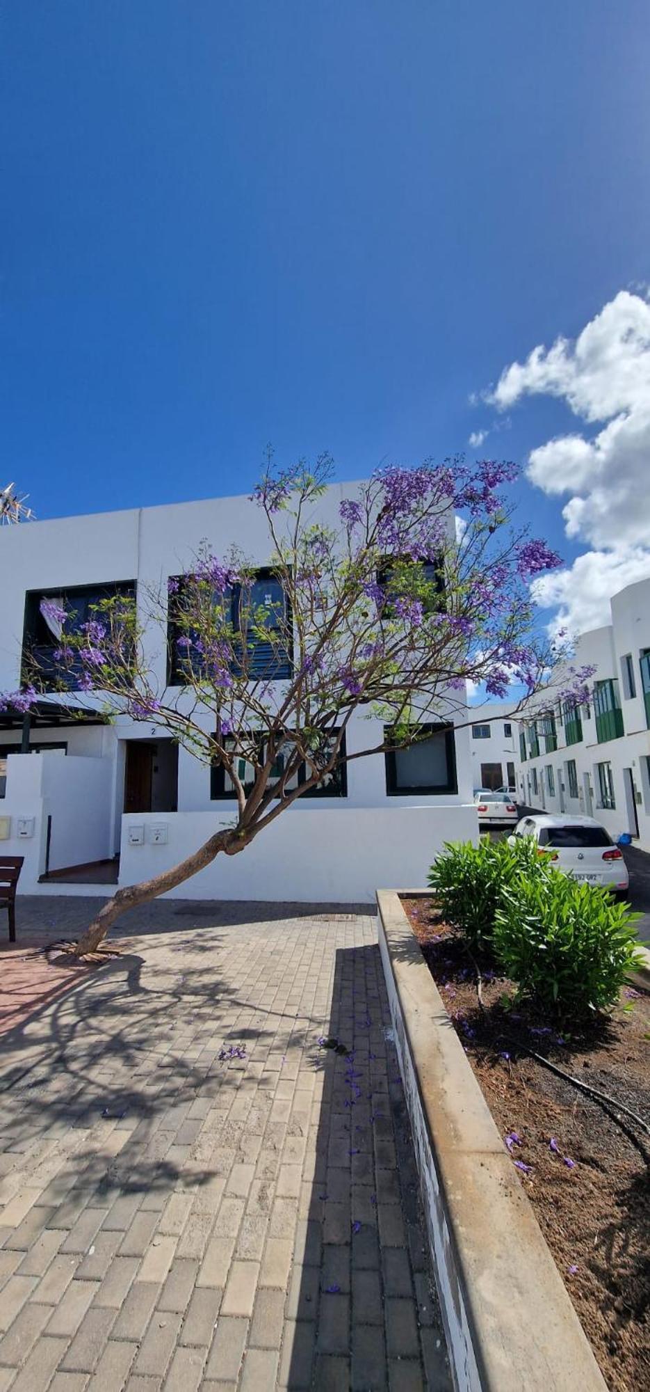 Apartamento Margarita Плайя-Бланка Екстер'єр фото