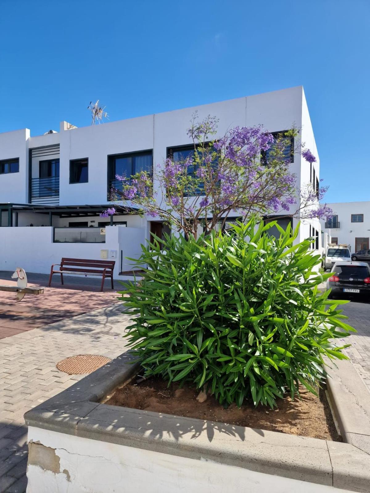 Apartamento Margarita Плайя-Бланка Екстер'єр фото